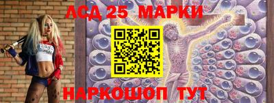 гидра Заводоуковск