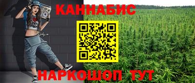 гидра Заводоуковск