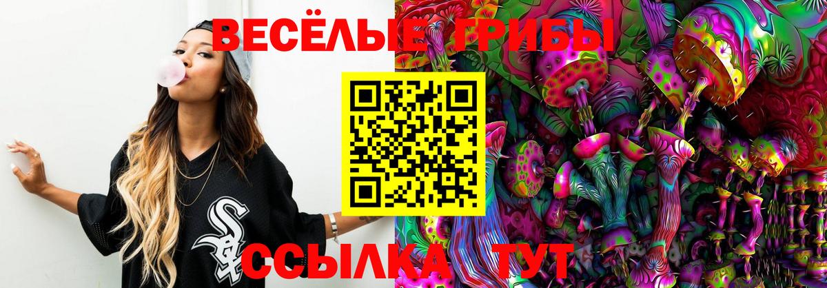 Горно-Алтайск  Галлюциногенные грибы Psilocybine cubensis  Псилоцибиновые грибы Magic Shrooms  Вход с VPN 